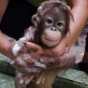 Meet your Posher, Paul